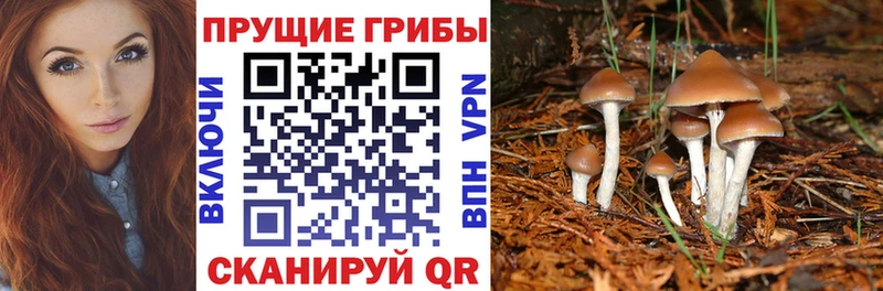 Галлюциногенные грибы ЛСД  купить закладку  Электроугли 